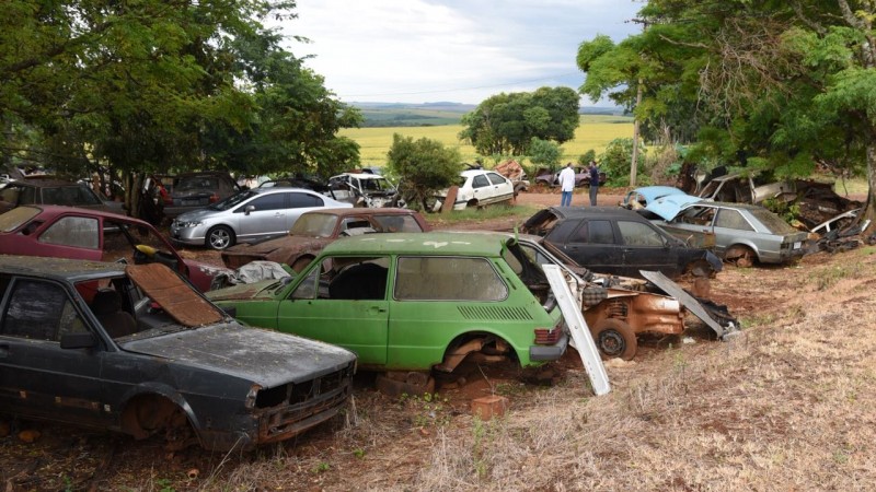 carros espalhados, desmontados, no meio do mato, com galhos de árvore caidos e pessoas entre as sucatas