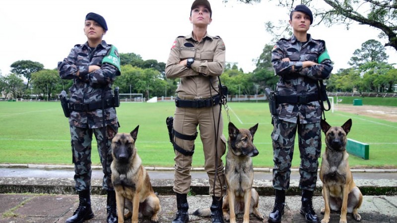 formatura de conclusão do 6º Curso de Especialização em Cinotecnia no dia 24 de maio. Brigadianas com os cães.