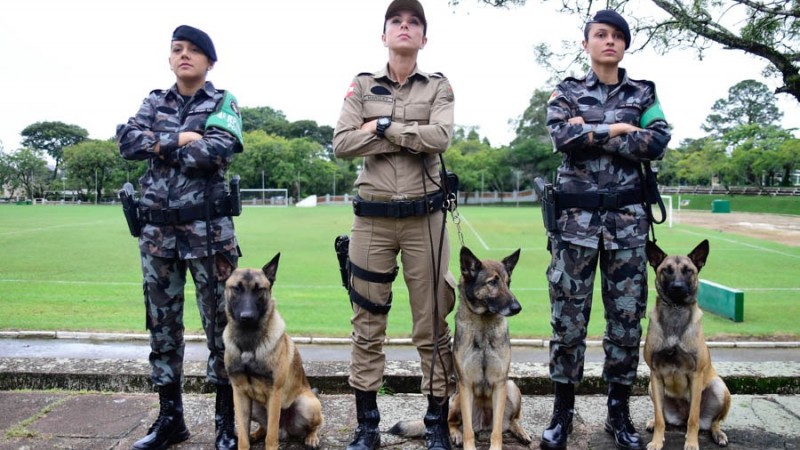 formatura de conclusão do 6º Curso de Especialização em Cinotecnia no dia 24 de maio. Brigadianas com os cães. 