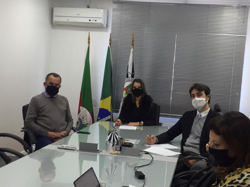 Reunião de alinhamento realizada por videoconferência