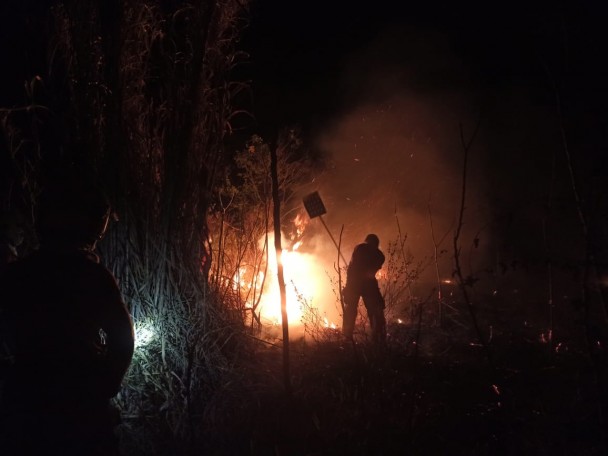 Cena noturna. Quase toda imagem é escura. No centro, uma grande labareda de fogo na mata. Diante dela, um bombeiro trabalha para apagar as chamas com um abafador.