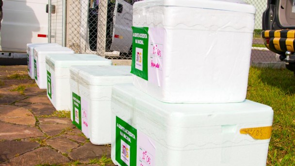 Caixas com doses da Coronavac lado a lado no chão. Na última, em primeiro plano, uma caixa pequena está sobre uma caixa maior.
