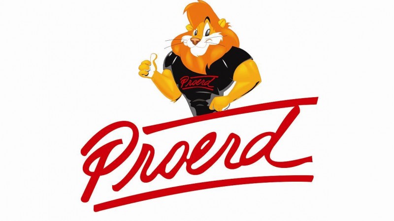 Imagem mostra logo do Proerd com ilustração de leão fazendo sinal de positivo.