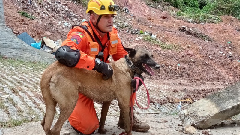 A foto mostra um bombeiro com o cão durante o salvamento