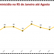 Vítimas de Feminicídios no RS de Janeiro até Agosto