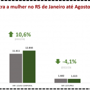 Violência contra a mulher no RS de Janeiro a Agosto