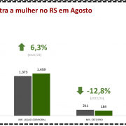 Violência contra a mulher no RS em Agosto