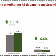 Violência contra a mulher no RS de Janeiro a Setembro