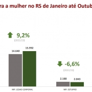 gráfico em linha sobre os registros de Violência Contra a Mulher no RS