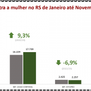 Violência contra a mulher no RS de Janeiro até Novembro