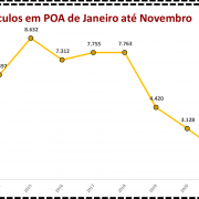 Roubo de veículos em POA de Janeiro até Novembro