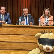 A foto mostra o secretário adjunto Mário Ikeda, no momento de sua fala no seminário