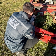 A imagem mostra um servidor do Instituto Geral de Perícia (IGP-RS) fazendo a análise de um material no desmanche
