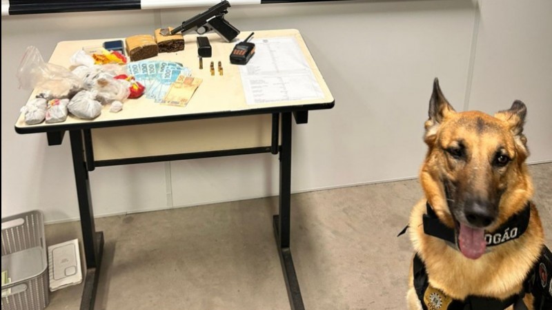 Cão farejador e apreensões da operação policial