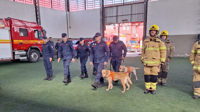A imagem registra um simulado operacional em &aacute;rea coberta de um quartel ou pavilh&atilde;o. Um grupo de bombeiros caminha em forma&ccedil;&atilde;o sobre piso verde, acompanhado por dois c&atilde;es de trabalho com coletes laranja. &Agrave; direita, outros integrantes vestem equipamento completo de combate a inc&ecirc;ndio, com capacetes amarelos e jaquetas de prote&ccedil;&atilde;o.