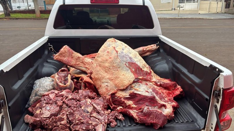 Quilos de carne bovina est&atilde;o espalhados sem embalagem sobre a ca&ccedil;amba de uma camionete da cor branca. 