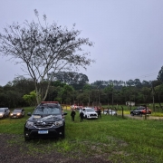 Na imagem, ve&iacute;culos da pol&iacute;cia na opera&ccedil;&atilde;o