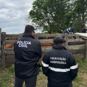 Na imagem, dois servidores da seguran&ccedil;a em meio &agrave; opera&ccedil;&atilde;o.