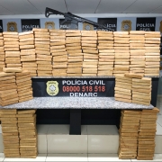 Na imagem as apreens&otilde;es